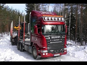 Scania R580 V8 6X4 Timber Truck Loading & Gets Unloaded