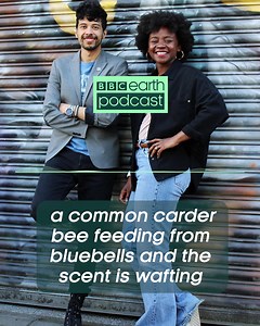 9.4K views · 273 reactions | The all-new BBC Earth Podcast is almost...