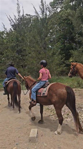 Chris Fenech on Reels