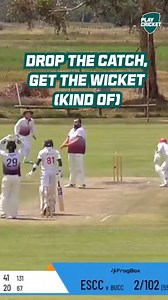 709K views · 9.9K reactions | Brother is befuddled 廊 | PlayCricket | Facebook