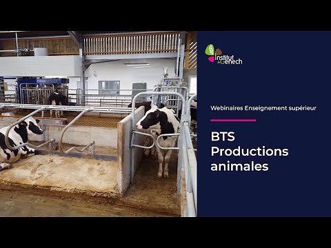 REPLAY - Présentation du BTS Productions Animales - webinaire du 13 mars 2021