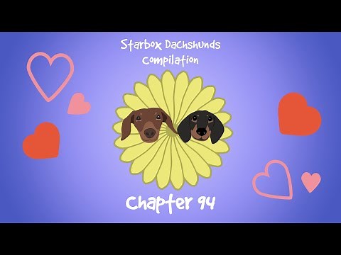 Starbox Dachshunds Compilation Chapter 94