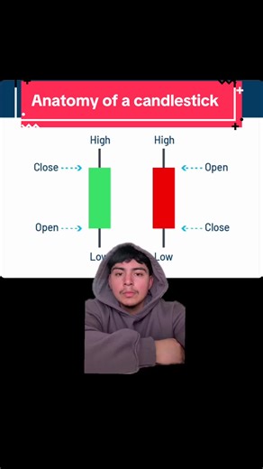 Anatomy of a candlestick #daytrader #greenscreen #viral