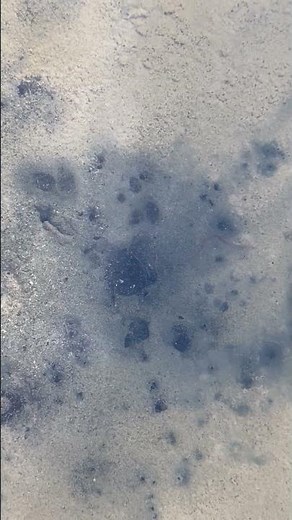 The Seep: Life-Giving Water on the Range