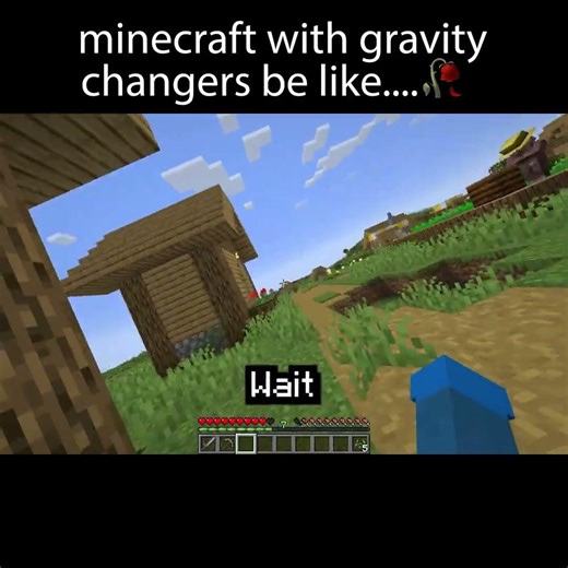Minecraft But With Gravity Changers...