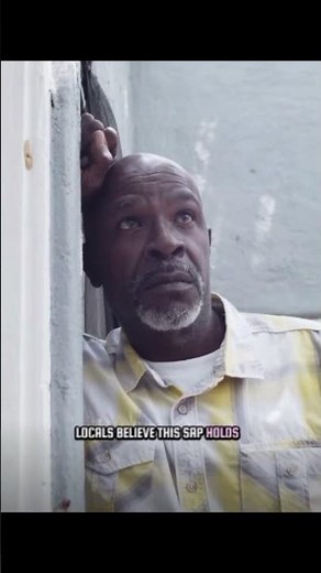 The Tree That Bleeds #facts