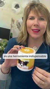 Veterinaria dermatóloga: cómo ayudar a tu perro con alergias