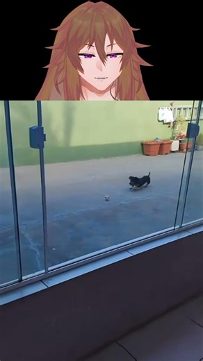 ESSE CACHORRO não está PURO! #memes #vtuber