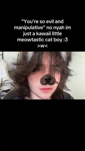 Kawaii Catboy Humor: Embracing Cute Mischief