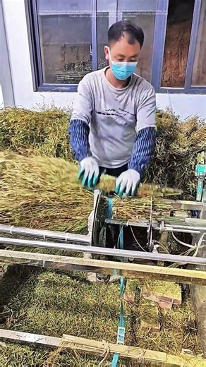 Crafting Brooms by Machine: Turning Straw Into Household Essentials