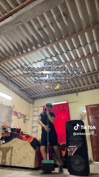 Música para limpiar y alegrar el hogar