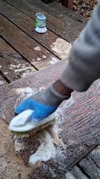 WHAT A MUDDY MESS Hand-Scrubbing This FILTHY Rug Back To Life In Under 2 Minutes