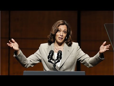 Kamala Harris is a 'low-IQ wine mom'