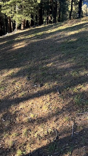 Ashley Rodriguez on Reels