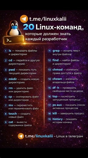 🚩 20 LINUX КОМАНД ТЫ ДОЛЖЕН ИХ ЗНАТЬ #coding #linux #линукс #python