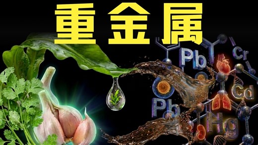 重金属与健康：如何识别、预防与应对