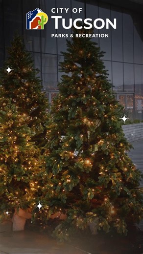 Holiday Hours Reminder Please note our upcoming holiday schedule: ⏰ All centers will close early at 2 p.m. on Wednesday, Dec. 24 and Dec. 31. 🚪 All centers will be closed on Thursday, Dec. 25 and Jan. 1. Thank you for planning ahead, and we wish you a safe and happy holiday season! ✨ Video description: A video of 2 Holiday Pine Trees with yellow twinkling lights, Golden text animates in and reads "Holiday Hours! All recreation centers will close at 2 p.m. on Wednesday, Dec. 24 and Dec. 31. All 