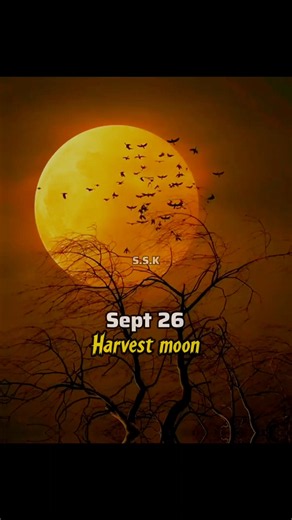 The crazy moon events in 2026 💀🌕 #shorts #space #astronomy #moon