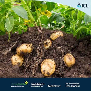 3.7K views · 89 reactions | Farmer Success Stories (Punjab):...