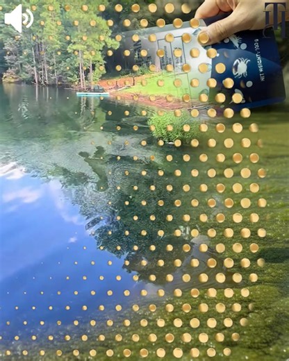 ⚠️ Too Much Algae Makes Your Water Dirty! Aqua-Guardian Pro Formula ✅ Quickly clears green, dirty water ✅ Keeps the water clean and healthy ✅ Helps your fish grow strong and happy 🧪 Tested by scientists, proven to work 👨‍🔬 Trusted by fish experts 🐟 Make your water crystal clear today! 📦 50% OFF Free Fast Shipping! | Dr Ryan Daniel