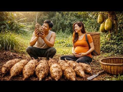 Complete Guide to Identifying Wild Tubers Using Leaves and Stems in Nature