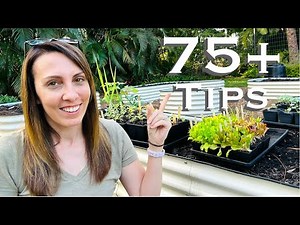 Best TIPS & IDEAS from Florida Gardeners