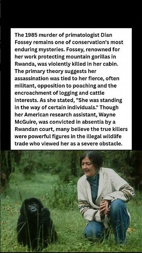The Unsolved Murder of Dian Fossey: She Was Killed For Protecting Gorillas 💔 #wildlife #facts