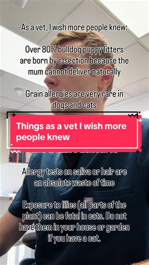 Things as a vet I wish more people knew! Any questions let me know in the comments. #veterinary #didyouknow #learnontiktok #pets