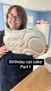 Today I’m making a cat cake using ‪@wilton‬ cake tin #cake #cakedecorating #cat #cakedesign