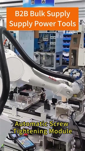 Automatic Screw Locking Module