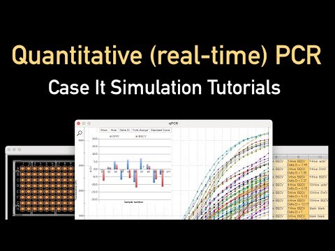 Running quantitative (real-time) PCR with Case It software using honeybee data as an example