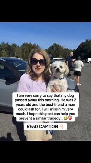 62 reactions · 3 comments | Most pet parents don’t realize that...