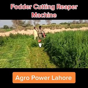 1.2K views · 27 reactions | Fodder Cutting Reaper Machine By Agro Power Machinery Store #Reaper #FodderCutter #WheatReaper Call and what’s app 0311-4338666 | AGRO POWER Machinery Store | Facebook