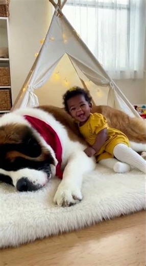 When Big Dogs Go Gentle with Babies | Heart-Melting #compilations