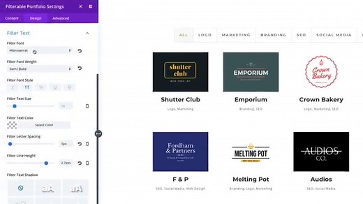 The Divi Filterable Portfolio Module - Elegant Themes Documentation