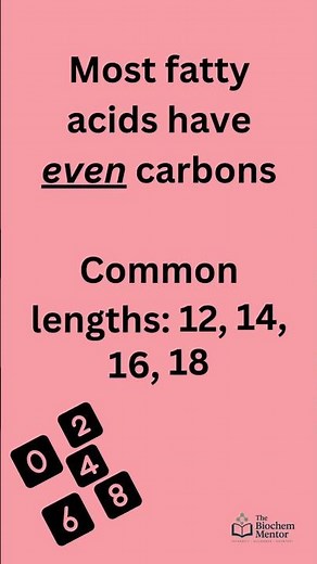 Fatty Acids Explained | Saturated vs Unsaturated & Key Examples