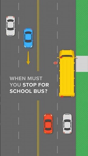 🇺🇸🇨🇦School Bus Safety: When Must You Stop?