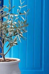 Greek Blue 💙🇬🇷️💙!! | Greeks Worldwide