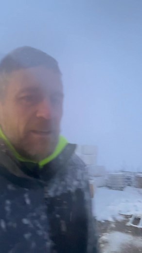 4.4K views · 78 reactions | Marsh Stock Farms on Reels | Facebook