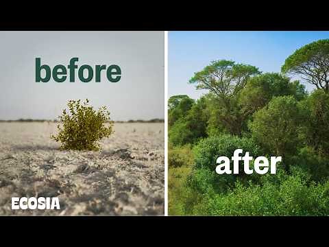 We Tried a Different Reforestation Method — With Incredible Results