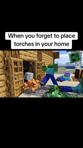 Torches are the greatest defence on a base #minecraft #memes