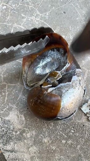 How to cast a Snail in Metal 🐌📖 #tutorial #diy #casting