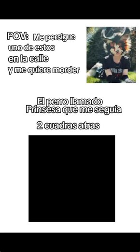 #parati #humor #video