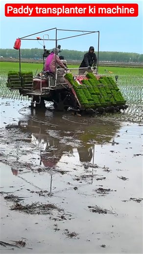 Paddy transplanter ki machine 🌾 #shorts #trendingshorts
