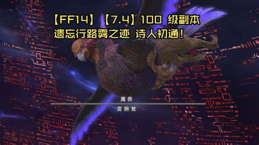 【4K】【FF14】【7.4】100 级副本 遗忘行路雾之迹 诗人！