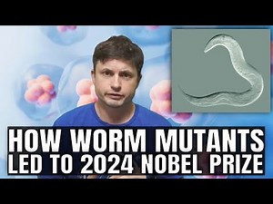 Surprise MicroRNA Discovery Leads To 2024 Nobel Prize in Medicine