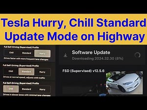 Tesla Hurry, Chill Standard Mode on Highway, Driving Profiles