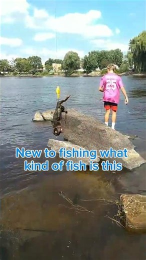 New To Fishimg Does Anyone Know The Name Of This Fish