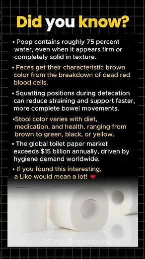 What Your Poop Color Says About Your Health