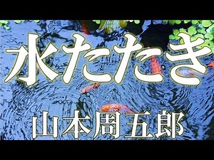 【朗読】水たたき 山本周五郎 朗読 アリア